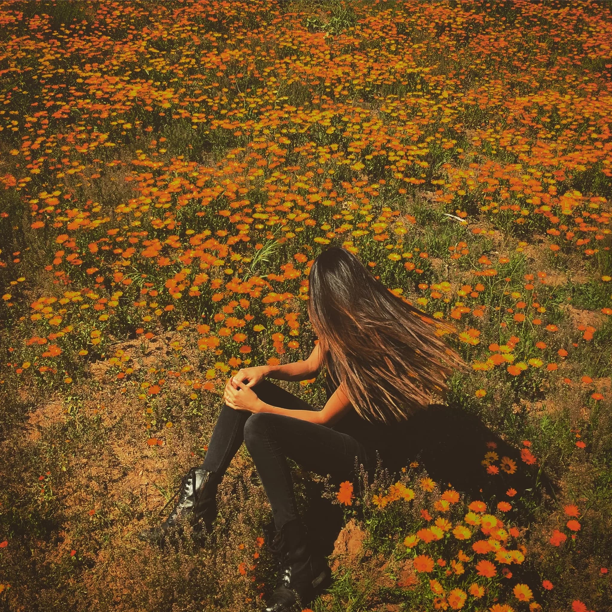 Model seated in a field of California poppies